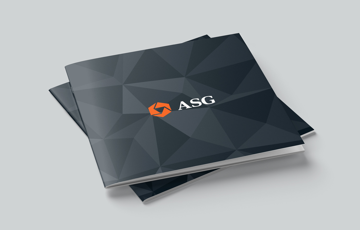 Corporate identity design for Alpha Storage Group by Dutch Fellow